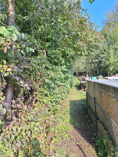 Photo from customer review