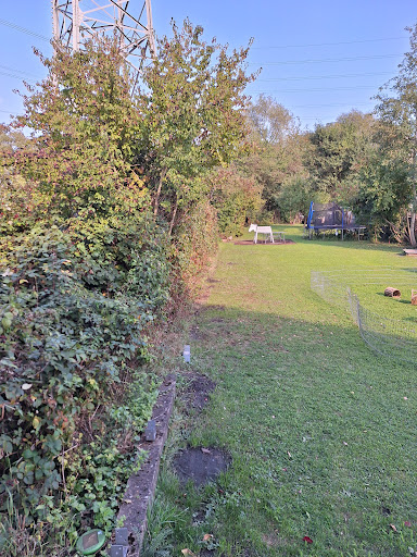 Photo from customer review