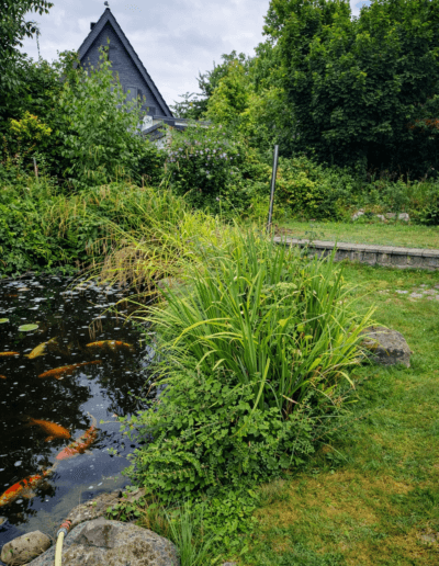 Gartenarbeiten fuer Privatpersonen und Firmen in der Umgebung